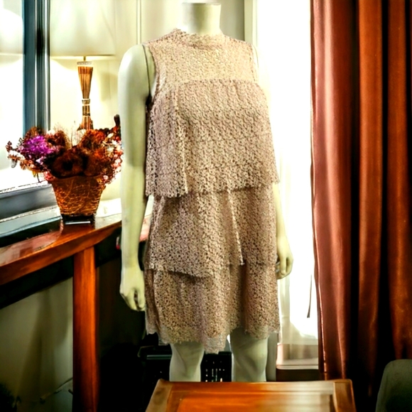 Zara Dresses & Skirts - Zara Soft Beige Lace Short Dress, S, Sleeveless, Layered Top & Skirt, Gorgeous!
